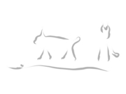luchse-wildkatzen-luchs-kohle-fueller-kalligrafie.jpg