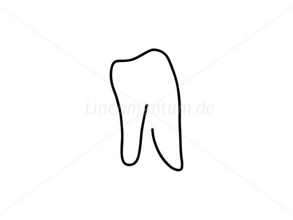 Zahn Backenzahn Zahnarzt Karies