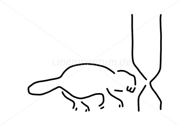 biber bau baum otter