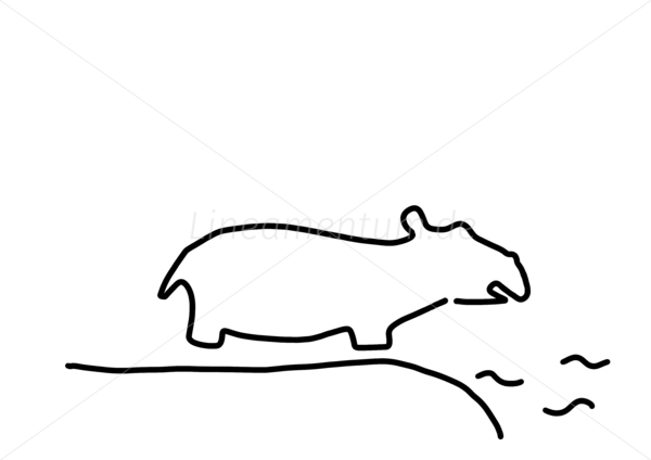 flusspferd nilfperd zoo