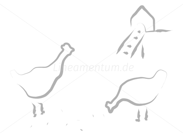 huhn henne huehner hof