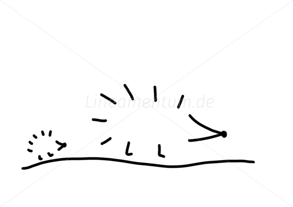 igel stacheln