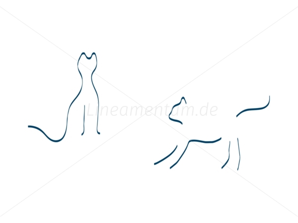 katzen hauskatze spielen