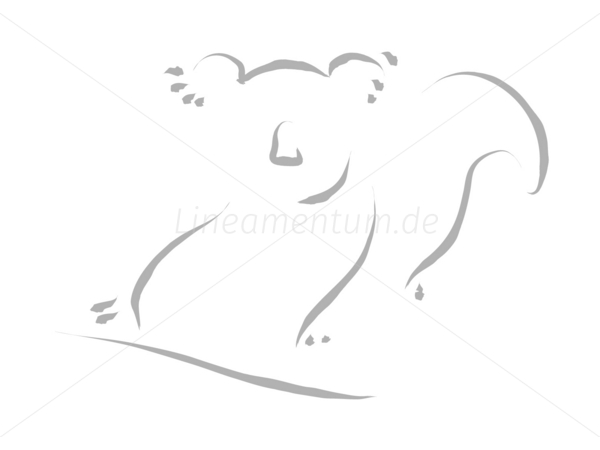 koala koalabaer asien china