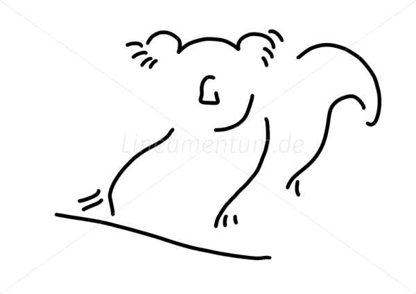 koala koalabaer asien china