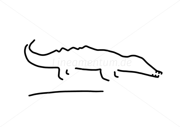 krokodil alligator