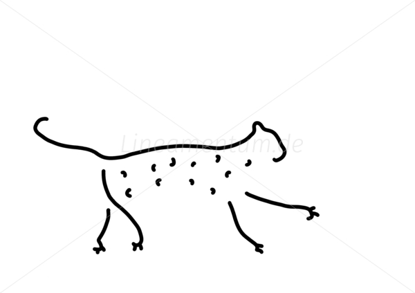 leopard gepard jaguar wildkatze