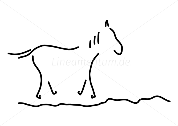 pferd wildpferd reiten