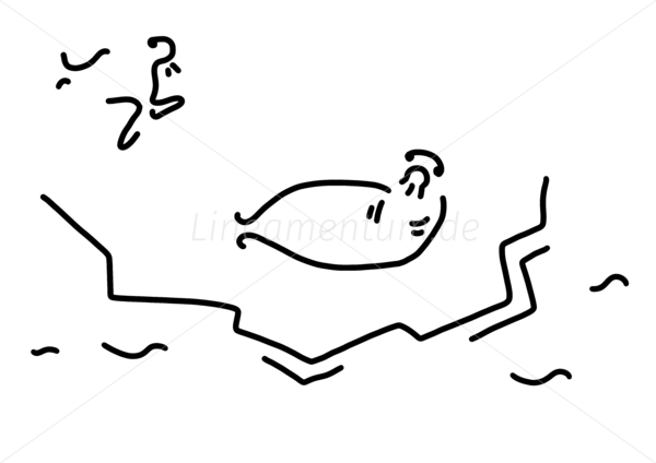 robbe seehund eisscholle robbe seehund eisscholle