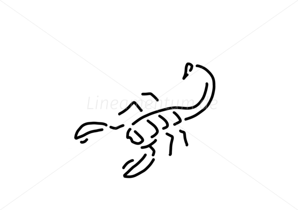 skorpion gift stachel