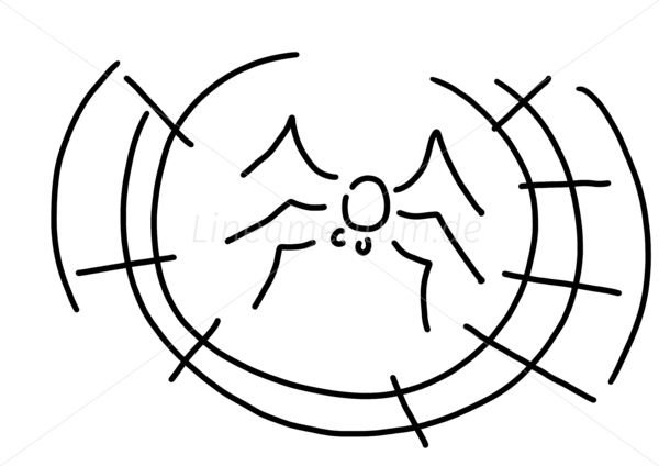 spinne spinnennetz faden