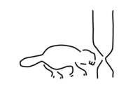 Dateiname=biber-bau-baum-otter.jpg
Dateigröße=40KB
Abmessungen: 600x424
hinzugefügt am: %09. %371 %2015 biber-bau-baum-otter.jpg