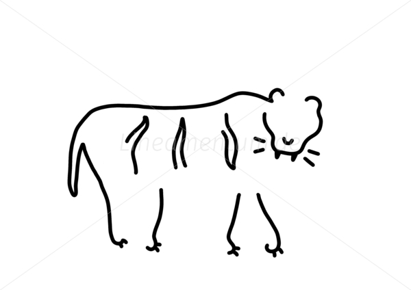 tiger steifen afrika tiger steifen afrika